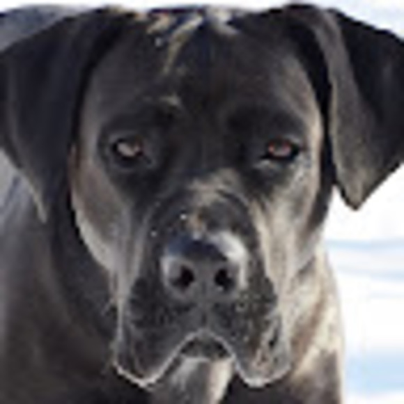 Meet your Posher, My name - Picture 1 of 1